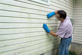 Best Historical Building Siding Restoration  in Port Charlotte, FL